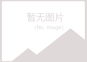 中宁县忆山工程有限公司